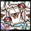 Pins (Moths & Butterflies)